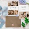 剛剛結婚！ 私奔公告分享您的重大新聞