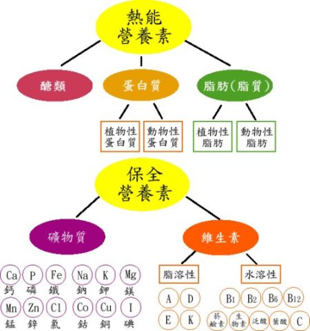 中國健康秘訣。